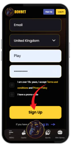 Enter your details to register in the casino